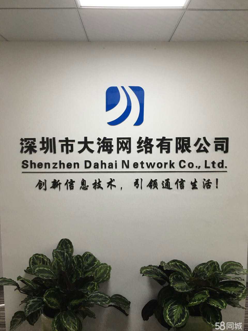 深圳市大海网络
